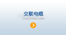 业务范围2